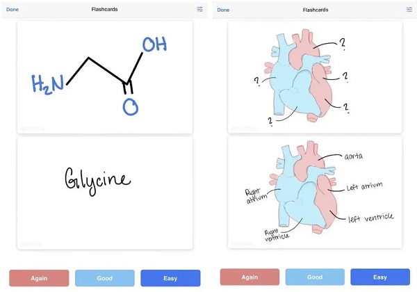 How to Create Digital Flashcards for Exam Revision