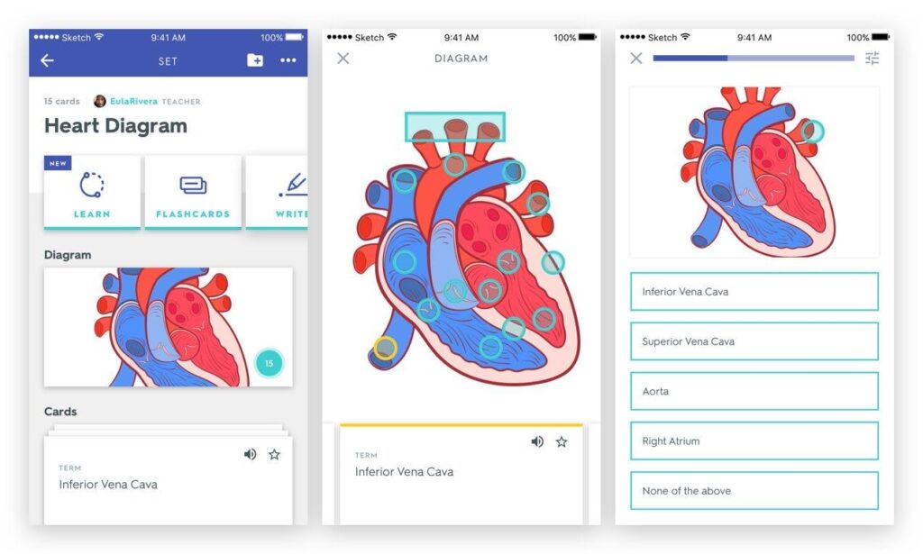 How to Create Digital Flashcards for Exam Revision