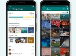 Why WhatsApp Is Taking So Much Storage on Your Phone WhatsApp Manage Storage screen showing large files